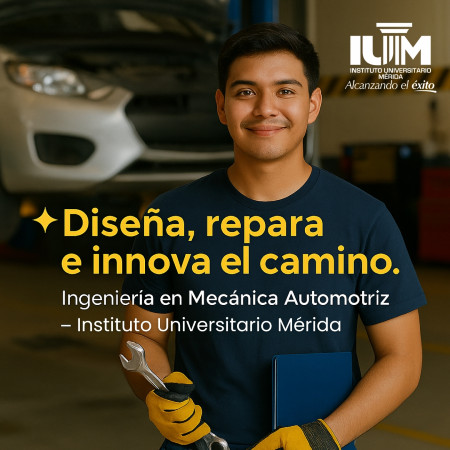 Ing. Mecánica